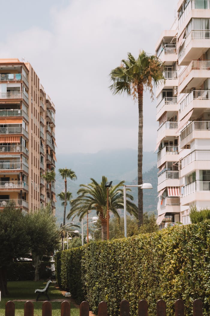 Modern apartment buildings in Benidorm with palm trees and green landscaping, ideal for urban lifestyle.