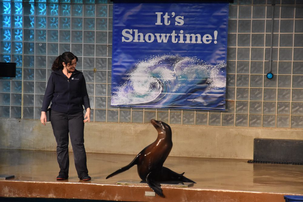 Mystic Aquarium in CT