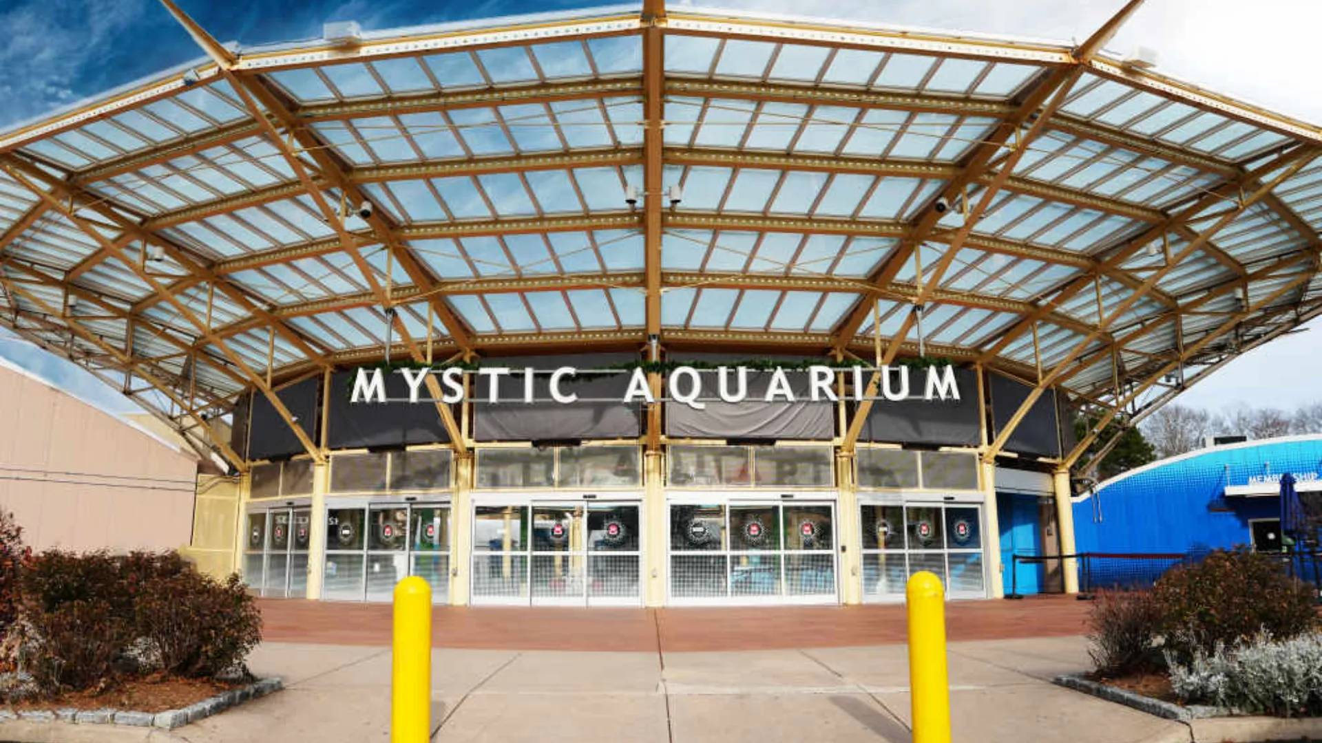 Walk Through Mystic Aquarium
