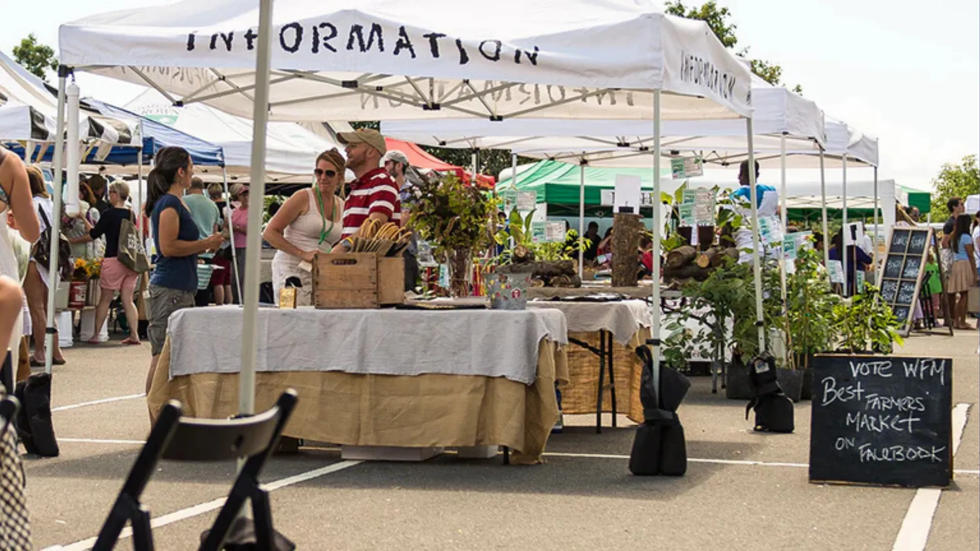 Explore the Westport Farmer’s Market