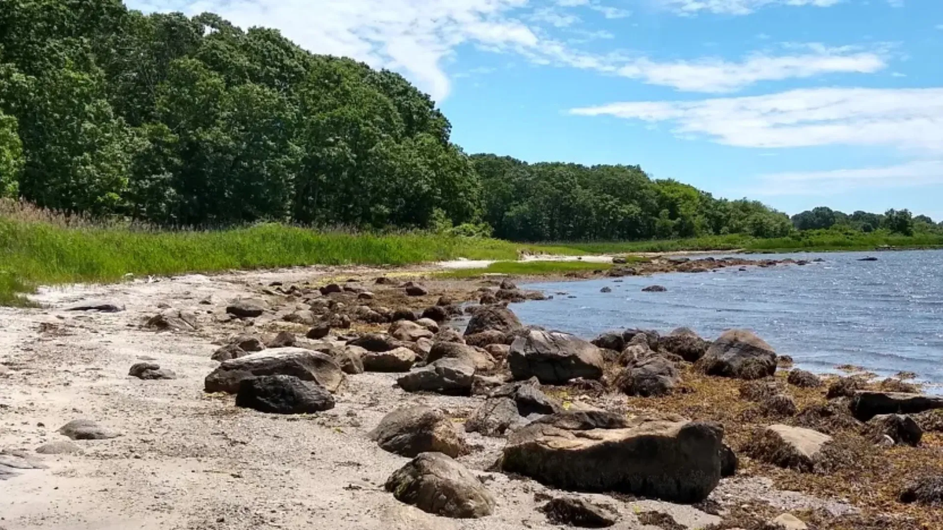 Explore Bluff Point State Park